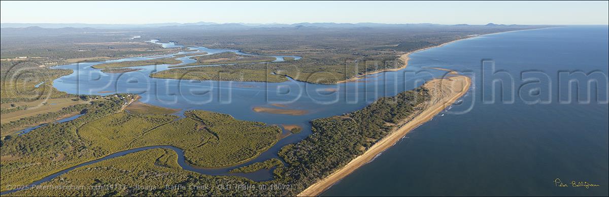 Peter Bellingham Photography Boaga - Baffle Creek - QLD (PBH4 00 18072)